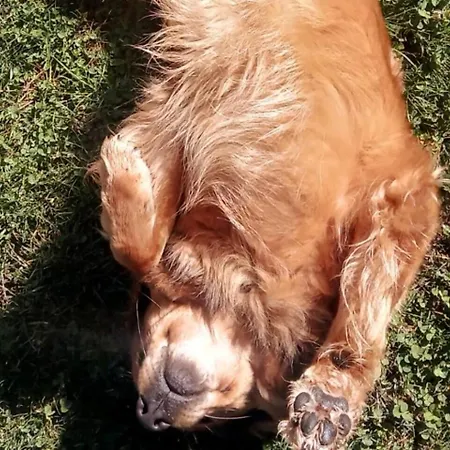 Art Music House 5 Minutes Walk