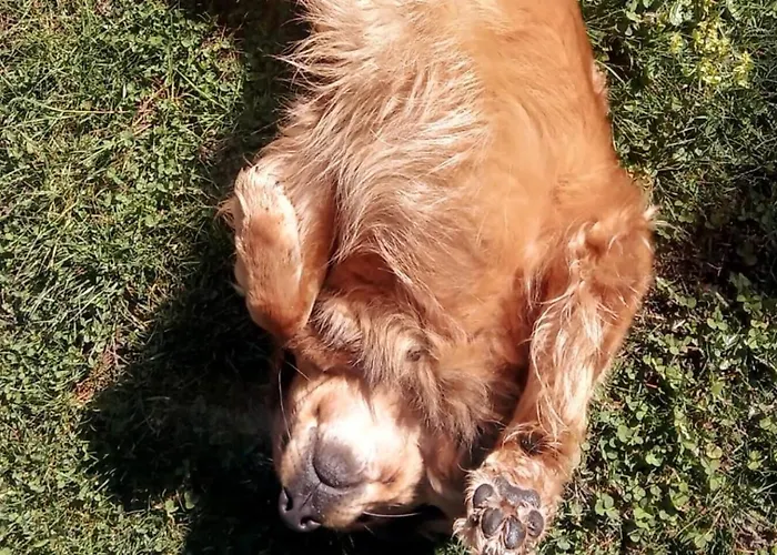 Art Music House 5 Minutes Walk