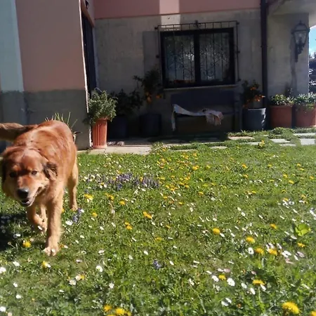 Art Music House 5 Minutes Walk דונגו