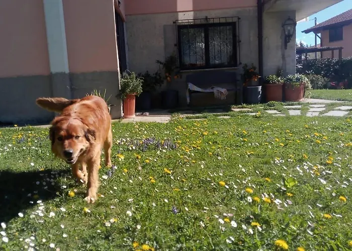 Art Music House 5 Minutes Walk Dongo